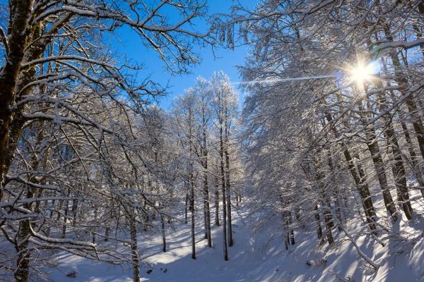 Ancora uno scorcio del Monte Autore (foto Orizzonti Simbruini)