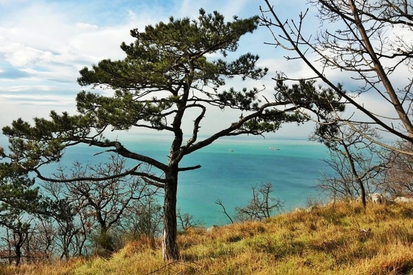 Una splendida veduta del Golfo di Trieste dal Sentiero S1