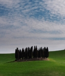 Le Colline della Val D'Orcia.